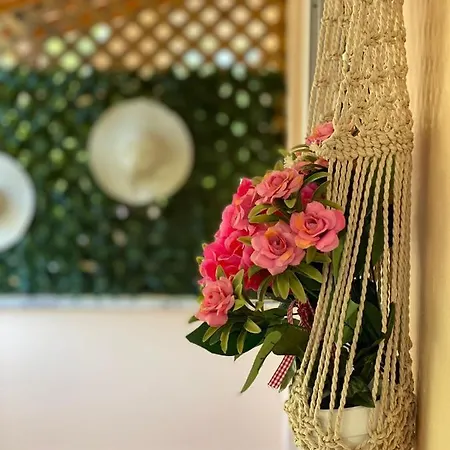 B&B Areti